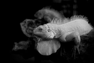 お年玉と貯金ルールの決め方はどうすれば良い？