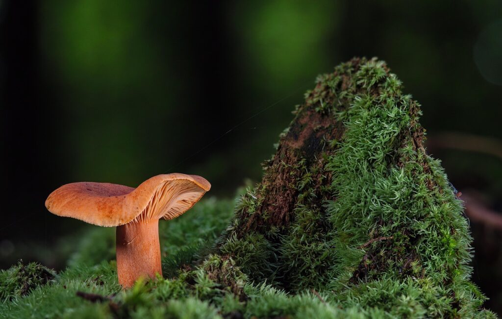 子どもがお金を間違った使い方をしないための教育方法は？