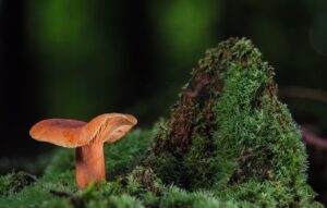 子どもがお金を間違った使い方をしないための教育方法は？