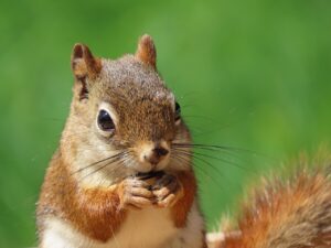 金銭感覚を養うために小学生が実践すべき方法は？