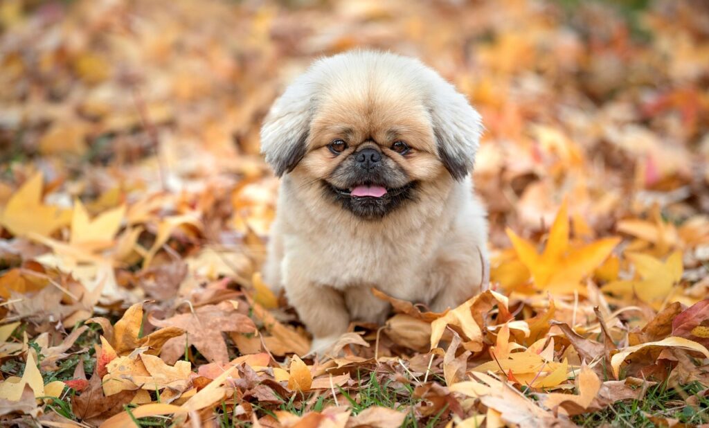 お札の数字が違う理由をどう説明するのが正しいのか？